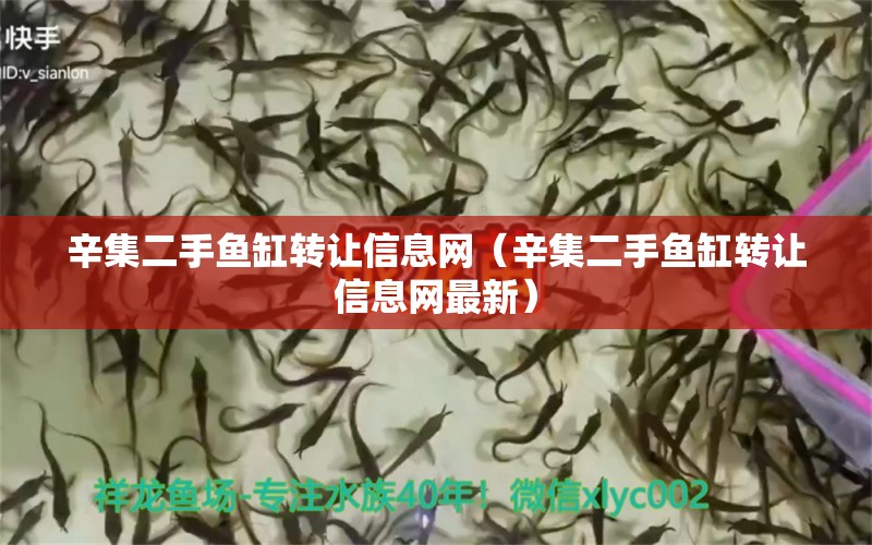 辛集二手魚缸轉(zhuǎn)讓信息網(wǎng)（辛集二手魚缸轉(zhuǎn)讓信息網(wǎng)最新） 七彩神仙魚