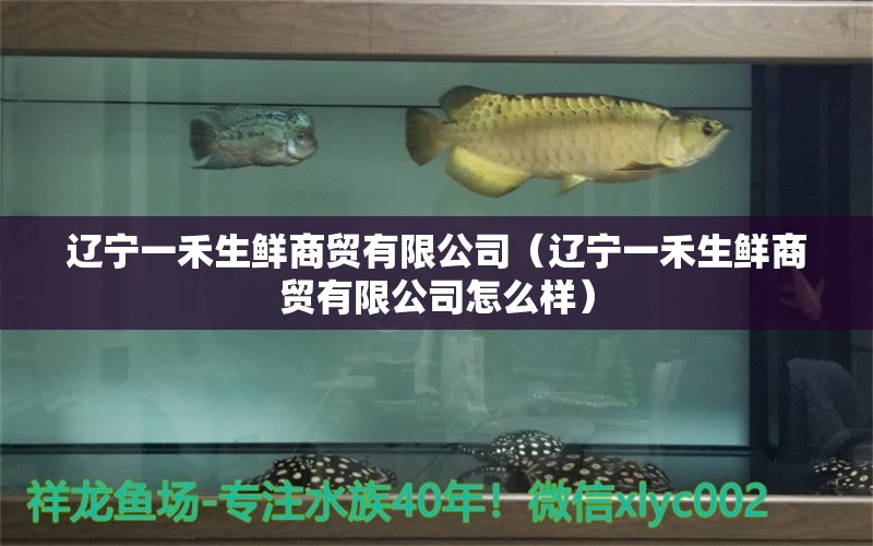 遼寧一禾生鮮商貿(mào)有限公司（遼寧一禾生鮮商貿(mào)有限公司怎么樣） 全國水族館企業(yè)名錄