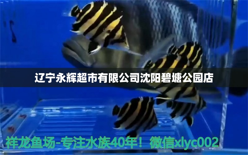 遼寧永輝超市有限公司沈陽碧塘公園店 全國水族館企業(yè)名錄