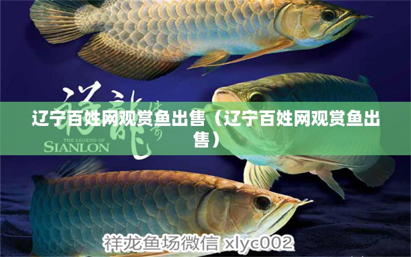 遼寧百姓網(wǎng)觀賞魚出售（遼寧百姓網(wǎng)觀賞魚出售）