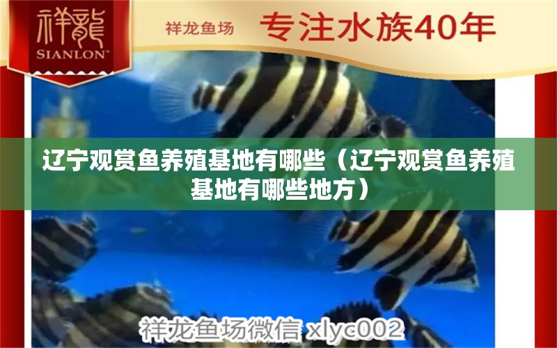 遼寧觀賞魚養(yǎng)殖基地有哪些（遼寧觀賞魚養(yǎng)殖基地有哪些地方） 祥龍水族醫(yī)院