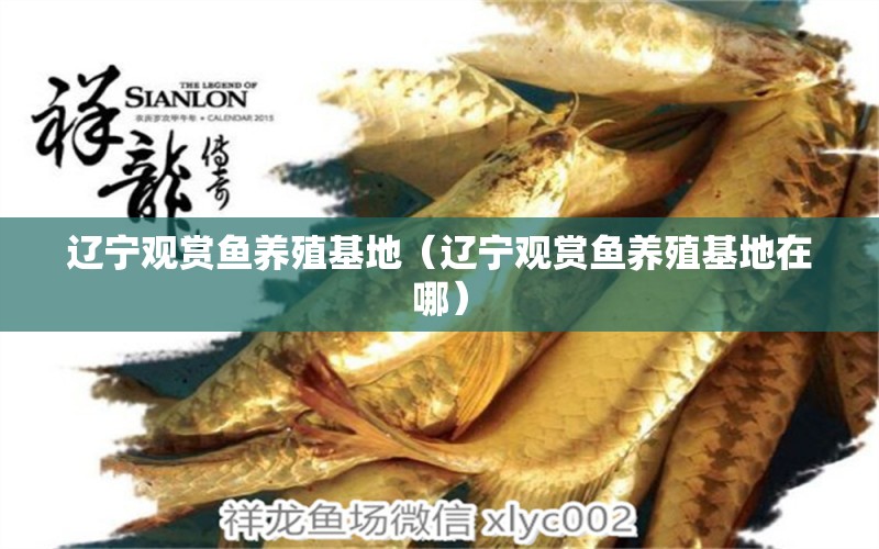 遼寧觀(guān)賞魚(yú)養(yǎng)殖基地（遼寧觀(guān)賞魚(yú)養(yǎng)殖基地在哪） 廣州龍魚(yú)批發(fā)市場(chǎng)