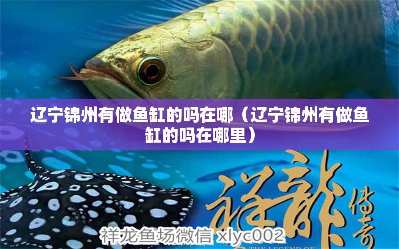 遼寧錦州有做魚缸的嗎在哪（遼寧錦州有做魚缸的嗎在哪里）