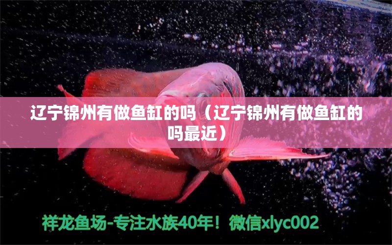 遼寧錦州有做魚缸的嗎（遼寧錦州有做魚缸的嗎最近） 祥龍水族醫(yī)院