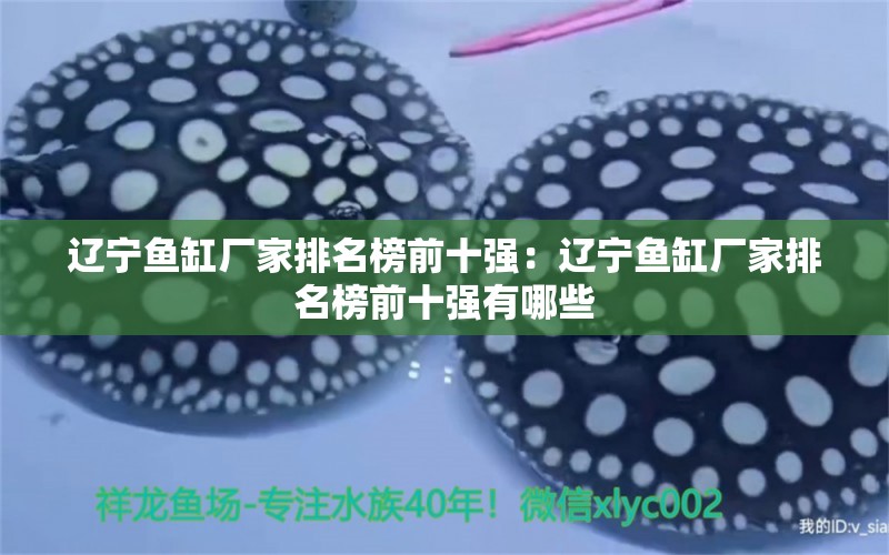 遼寧魚缸廠家排名榜前十強(qiáng)：遼寧魚缸廠家排名榜前十強(qiáng)有哪些 觀賞魚市場(chǎng)（混養(yǎng)魚）