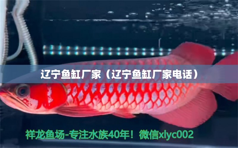 遼寧魚(yú)缸廠家（遼寧魚(yú)缸廠家電話） 其他品牌魚(yú)缸