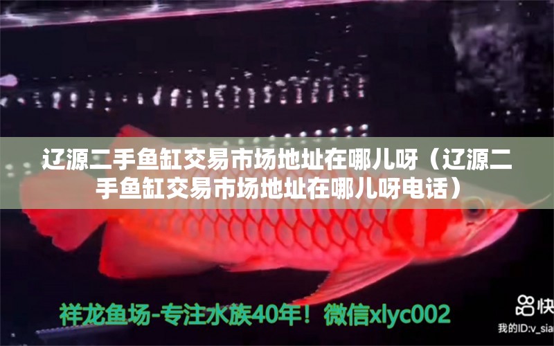 遼源二手魚缸交易市場地址在哪兒呀（遼源二手魚缸交易市場地址在哪兒呀電話） 祥龍魚場