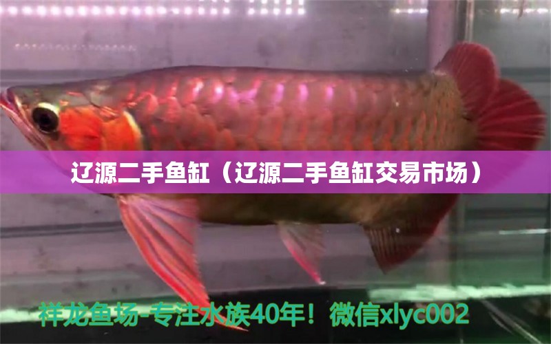 遼源二手魚缸（遼源二手魚缸交易市場(chǎng)） 其他品牌魚缸