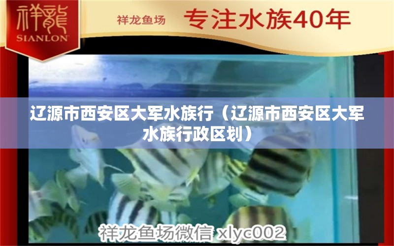 遼源市西安區(qū)大軍水族行（遼源市西安區(qū)大軍水族行政區(qū)劃）