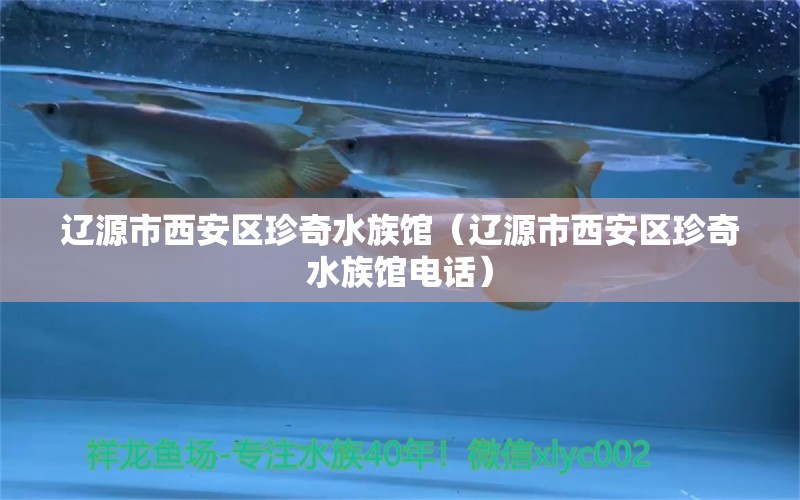 遼源市西安區(qū)珍奇水族館（遼源市西安區(qū)珍奇水族館電話）