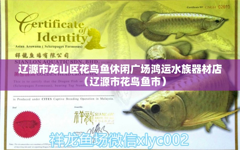 遼源市龍山區(qū)花鳥魚休閑廣場鴻運(yùn)水族器材店（遼源市花鳥魚市） 全國水族館企業(yè)名錄