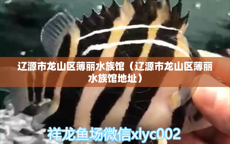 遼源市龍山區(qū)薄麗水族館（遼源市龍山區(qū)薄麗水族館地址）