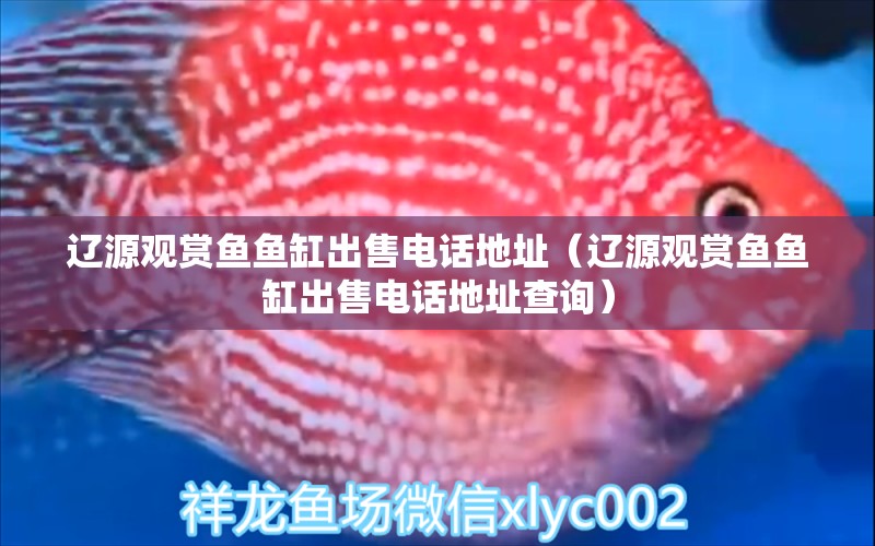 遼源觀賞魚魚缸出售電話地址（遼源觀賞魚魚缸出售電話地址查詢）