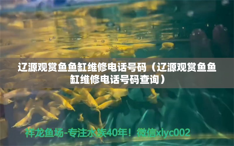 遼源觀賞魚魚缸維修電話號(hào)碼（遼源觀賞魚魚缸維修電話號(hào)碼查詢） 祥龍魚場(chǎng)