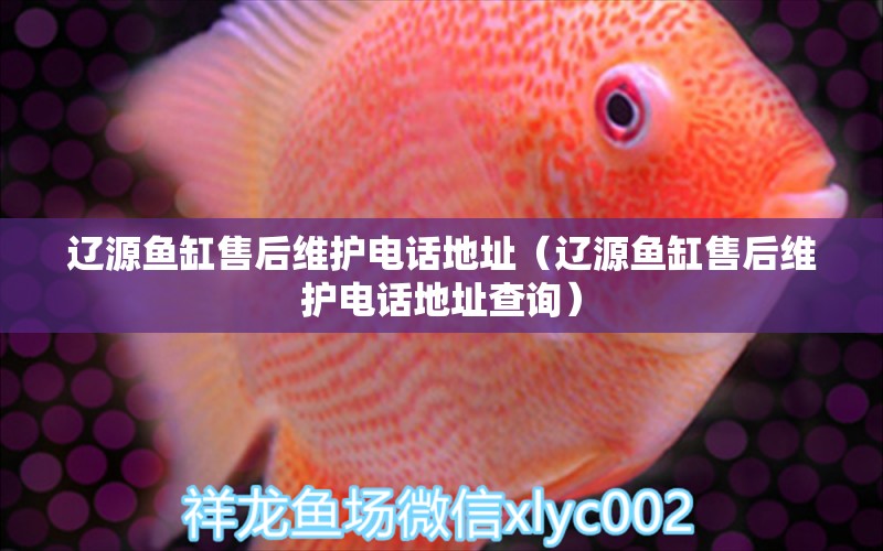 遼源魚缸售后維護電話地址（遼源魚缸售后維護電話地址查詢）