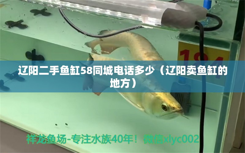 遼陽二手魚缸58同城電話多少（遼陽賣魚缸的地方）