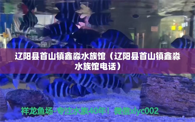 遼陽(yáng)縣首山鎮(zhèn)鑫淼水族館（遼陽(yáng)縣首山鎮(zhèn)鑫淼水族館電話） 全國(guó)水族館企業(yè)名錄