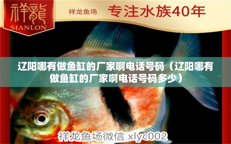 遼陽哪有做魚缸的廠家啊電話號碼（遼陽哪有做魚缸的廠家啊電話號碼多少） 觀賞魚市場（混養(yǎng)魚）