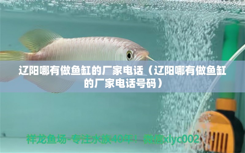 遼陽哪有做魚缸的廠家電話（遼陽哪有做魚缸的廠家電話號(hào)碼） 噴點(diǎn)菠蘿魚