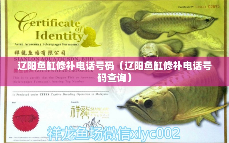 遼陽魚缸修補電話號碼（遼陽魚缸修補電話號碼查詢） 觀賞魚市場（混養(yǎng)魚）