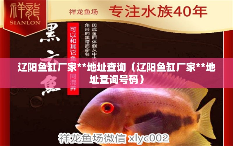 遼陽(yáng)魚(yú)缸廠(chǎng)家**地址查詢(xún)（遼陽(yáng)魚(yú)缸廠(chǎng)家**地址查詢(xún)號(hào)碼） 夢(mèng)幻雷龍魚(yú)