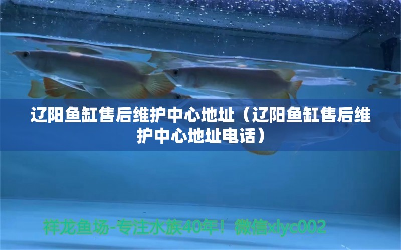 遼陽魚缸售后維護中心地址（遼陽魚缸售后維護中心地址電話）