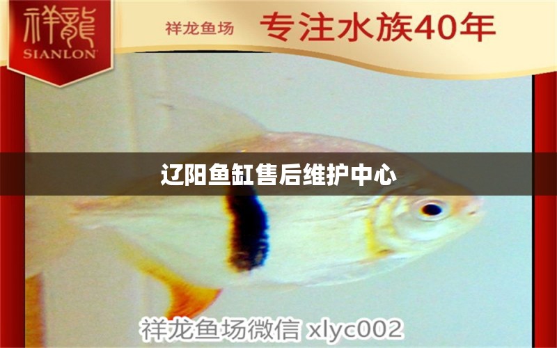 遼陽魚缸售后維護(hù)中心 其他品牌魚缸