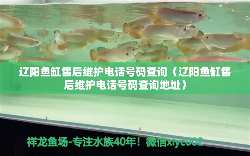 遼陽魚缸售后維護電話號碼查詢（遼陽魚缸售后維護電話號碼查詢地址）