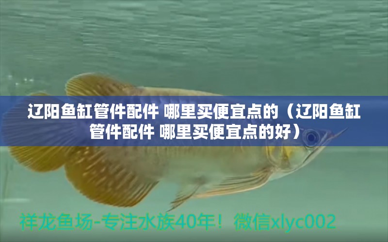 遼陽魚缸管件配件 哪里買便宜點的（遼陽魚缸管件配件 哪里買便宜點的好） 博特水族