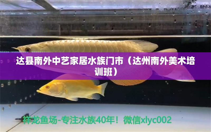 達(dá)縣南外中藝家居水族門市（達(dá)州南外美術(shù)培訓(xùn)班）