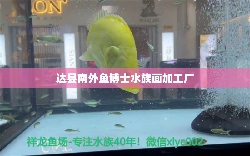 達(dá)縣南外魚博士水族畫加工廠