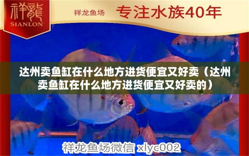 達州賣魚缸在什么地方進貨便宜又好賣（達州賣魚缸在什么地方進貨便宜又好賣的）