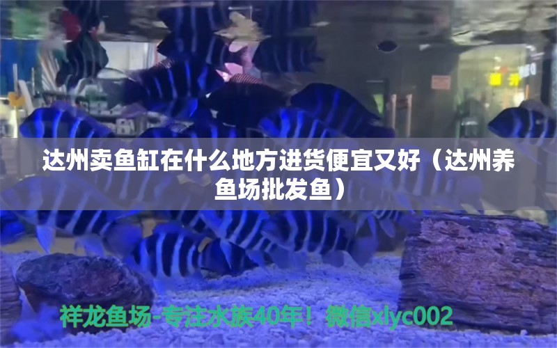 達(dá)州賣(mài)魚(yú)缸在什么地方進(jìn)貨便宜又好（達(dá)州養(yǎng)魚(yú)場(chǎng)批發(fā)魚(yú)）