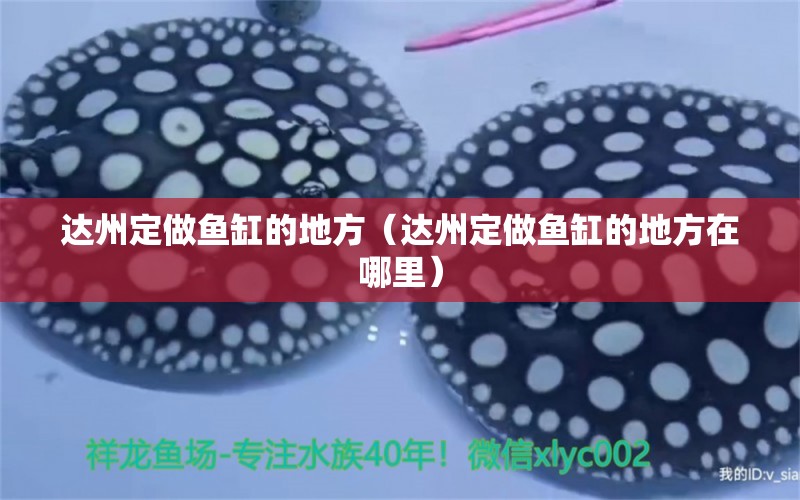 達(dá)州定做魚缸的地方（達(dá)州定做魚缸的地方在哪里） 其他品牌魚缸