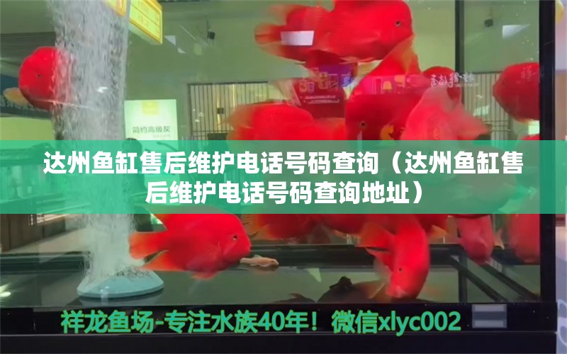 達州魚缸售后維護電話號碼查詢（達州魚缸售后維護電話號碼查詢地址）