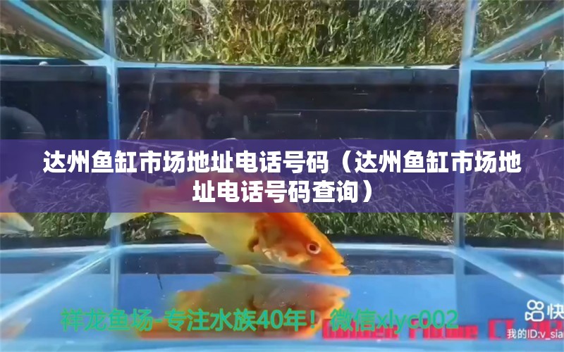 達州魚缸市場地址電話號碼（達州魚缸市場地址電話號碼查詢）