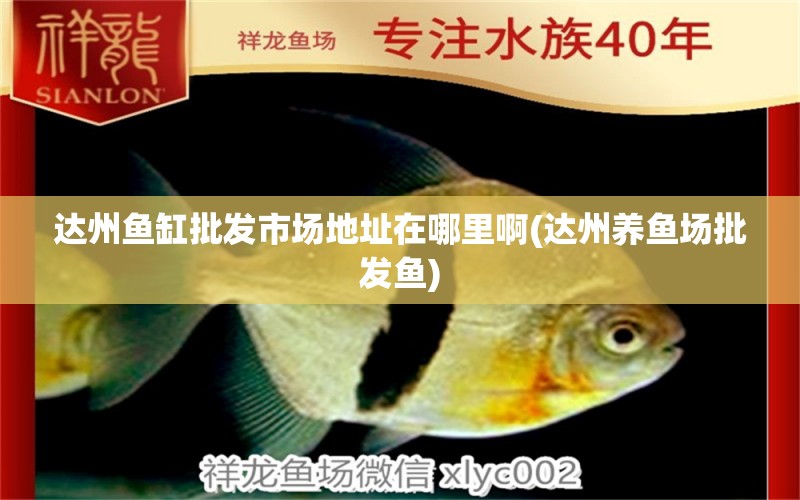 達州魚缸批發(fā)市場地址在哪里啊(達州養(yǎng)魚場批發(fā)魚)