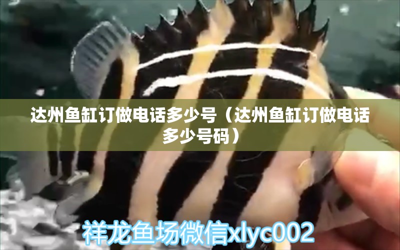 達州魚缸訂做電話多少號（達州魚缸訂做電話多少號碼） 祥龍水族醫(yī)院