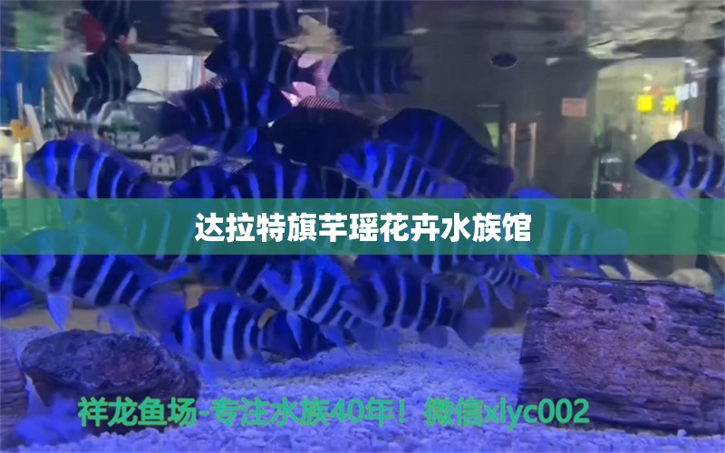 達(dá)拉特旗芊瑤花卉水族館