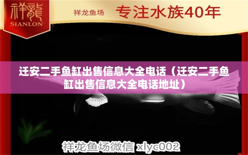 遷安二手魚缸出售信息大全電話（遷安二手魚缸出售信息大全電話地址） 印尼四紋虎