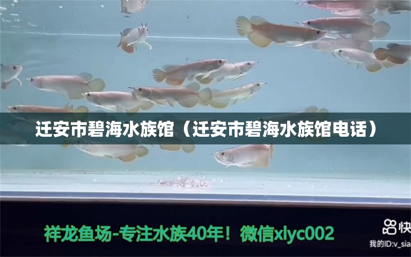 遷安市碧海水族館（遷安市碧海水族館電話） 全國水族館企業(yè)名錄