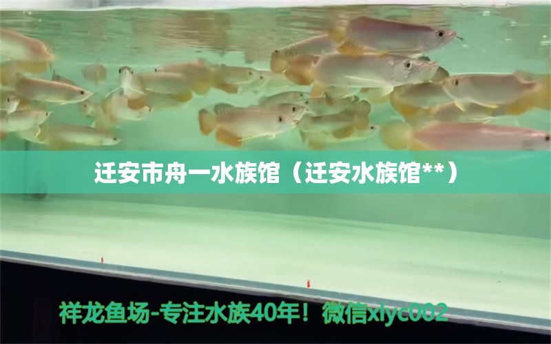 遷安市舟一水族館（遷安水族館**）