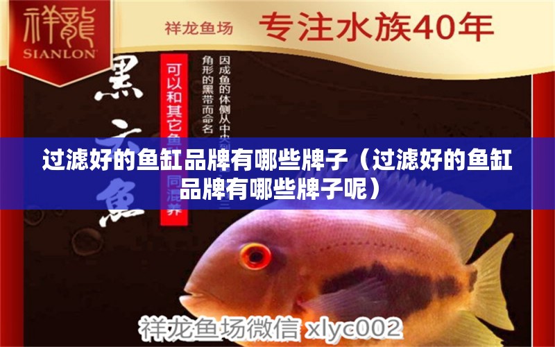 過濾好的魚缸品牌有哪些牌子（過濾好的魚缸品牌有哪些牌子呢）