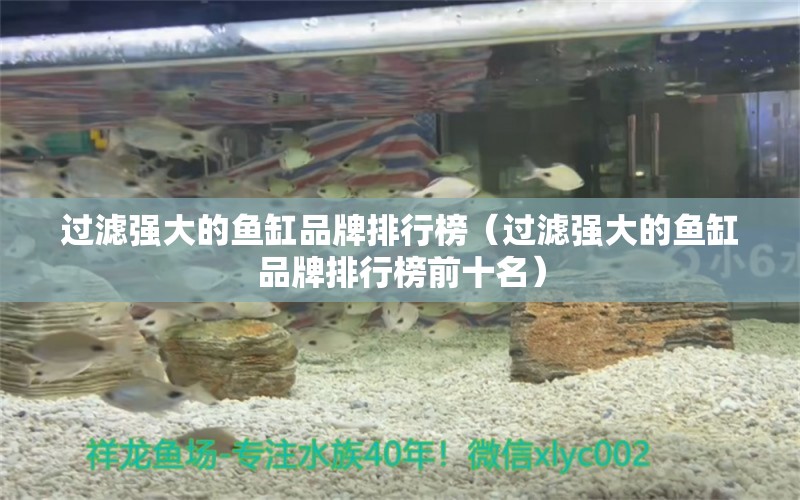 過濾強大的魚缸品牌排行榜（過濾強大的魚缸品牌排行榜前十名） 祥龍水族醫(yī)院