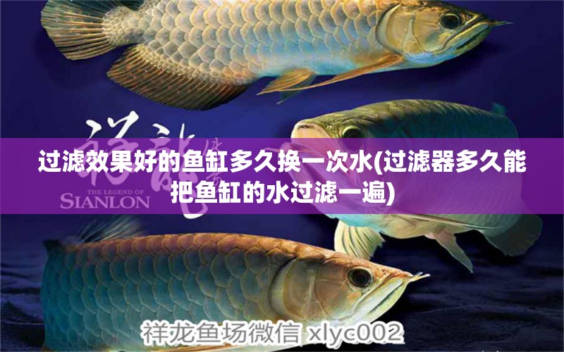 過濾效果好的魚缸多久換一次水(過濾器多久能把魚缸的水過濾一遍) 龍魚百科