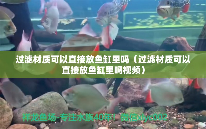 過濾材質(zhì)可以直接放魚缸里嗎（過濾材質(zhì)可以直接放魚缸里嗎視頻）