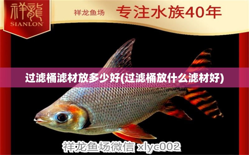 過濾桶濾材放多少好(過濾桶放什么濾材好) 鸚鵡魚