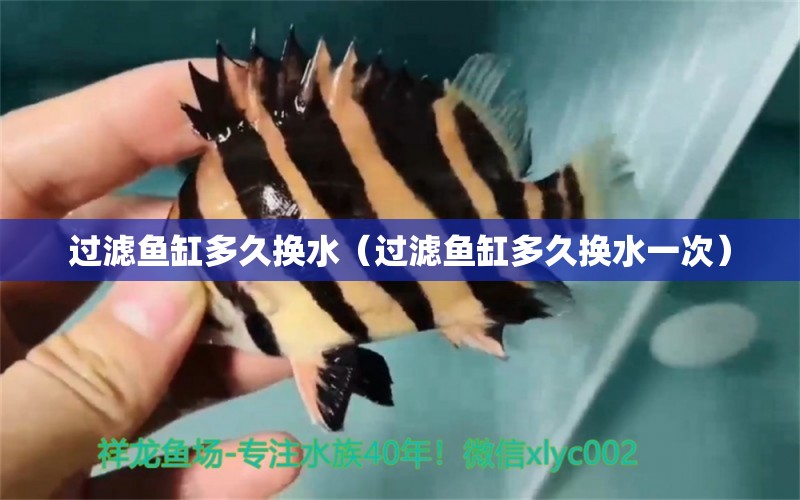 過濾魚缸多久換水（過濾魚缸多久換水一次） 量子養(yǎng)魚技術(shù)