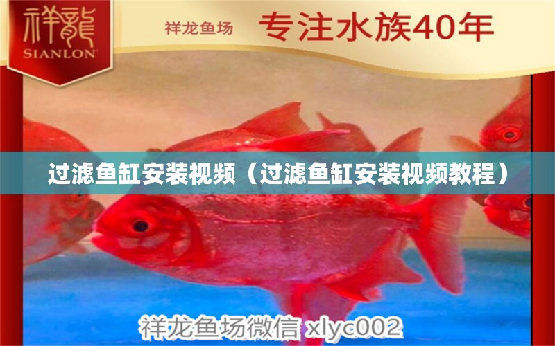 過濾魚缸安裝視頻（過濾魚缸安裝視頻教程）