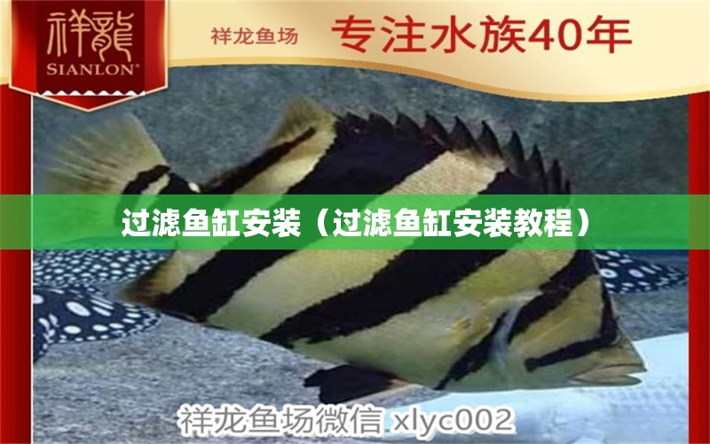 過濾魚缸安裝（過濾魚缸安裝教程）